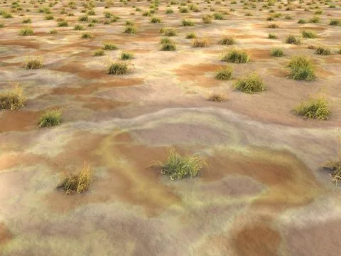 Barren landscape Stock Illustration
