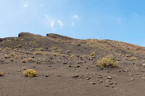 Barren Landscape Stock Photos