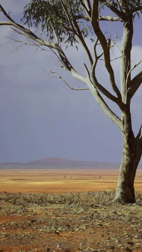 Barren landscape under a dramatic sky creates a tranquil yet desolate aura Stock Footage 334244665