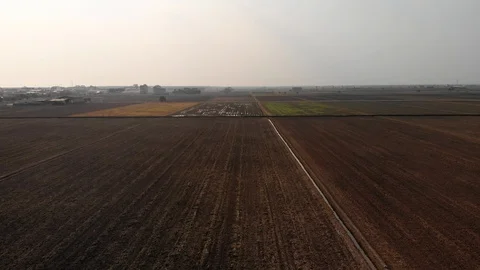 A barren rice field Stock Footage 117346439