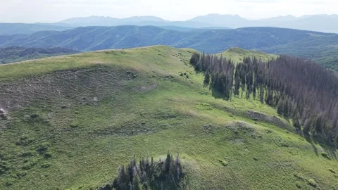 Barren Ridgeline Above Uinta Mountain Pine Forest Forward Push Stock Footage 338355946