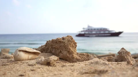 Barren sandy coast with boat, shell and ocean Stock Footage 61094028