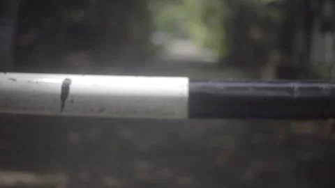 Barrier Post and Road Background Stock Footage 297855146