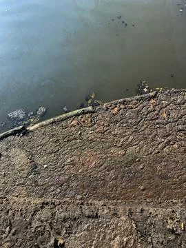 A barrier to stop floating debris in the river. Concept of environmental prot Stock Photos