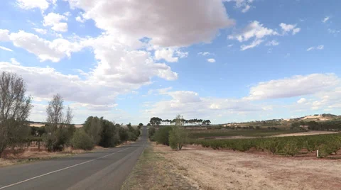 Barrossa Valley Stock Footage 27318218