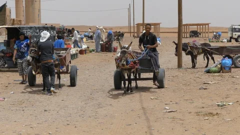 Barrows pulled by donkeys near M'hamid, Morocco, Africa in 4K Stock Footage 92102170