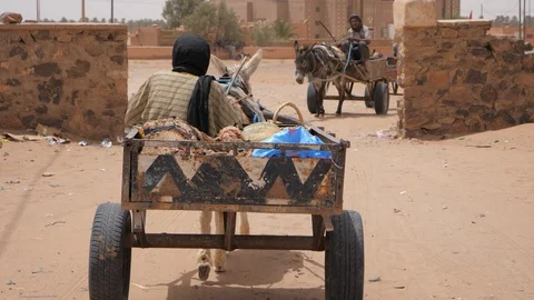 Barrows pulled by donkeys near M'hamid, Morocco, Africa in 4K Stock Footage 92105899