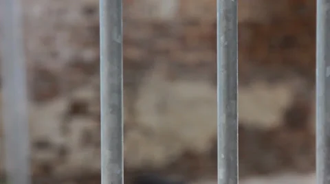 Bars and Brick Stock Footage 33755429