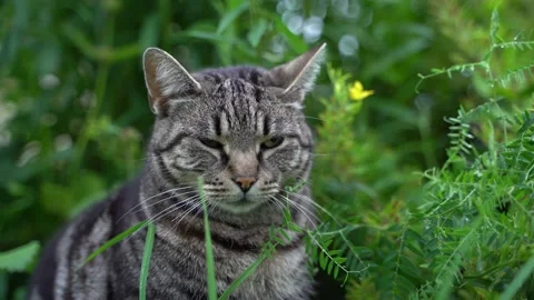 Bars Stock Footage 145312691