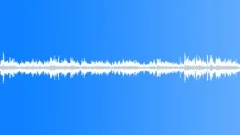 Bars Restaurants Restaurants Foreign Background Busy Walla Adults Voice Sound Effect