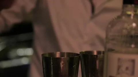Bartender 2 Stock Footage 308734961