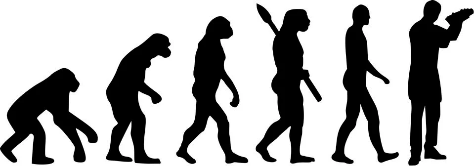 Bartender Barman Evolution Stock Illustration