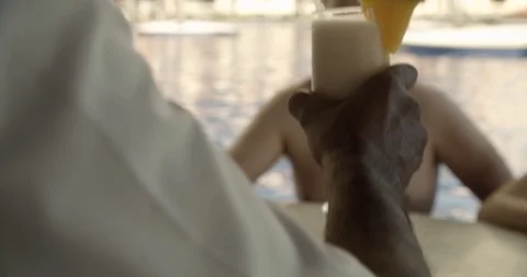 Bartender Brings Drinks to Guests At Swim Up Bar, Resort Pool Stock Footage 112413284