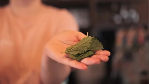 Bartender Clapping Fresh Mint Leaves to Release Aroma Stock Footage 305022072
