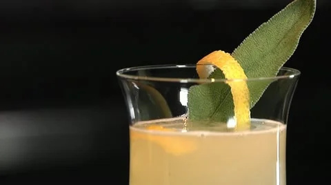 Bartender garnishes drink Stock Footage 20462450