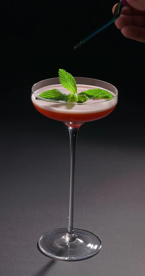 Bartender garnishing red cocktail with mint leaves. Glass of refreshing cocktail Stock Footage 311692801