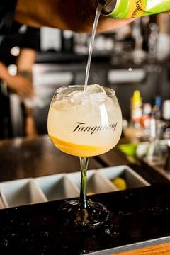 Bartender Hands Making a Perfect Drink on Bar Gin Tonic Negroni Caipirinha Mosco Stock Photos