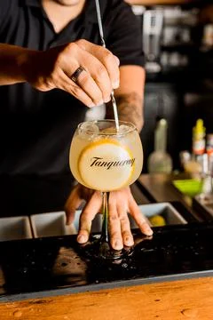 Bartender Hands Making a Perfect Drink on Bar Gin Tonic Negroni Caipirinha Mosco Stock Photos