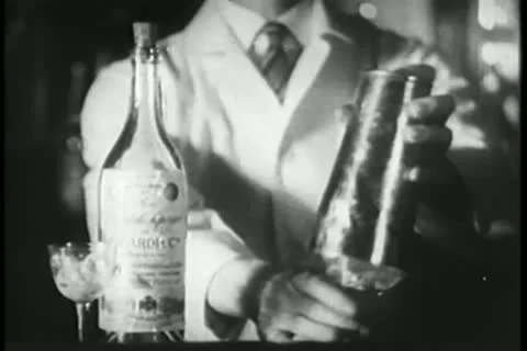 Bartender mixing drink in cocktail shaker 스톡 동영상 11352247