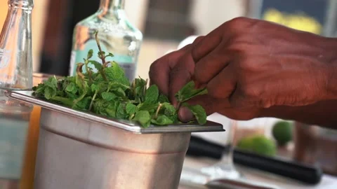 Bartender picking mint leaves to make a passion fruit mojito cocktail Stock Footage 230080327