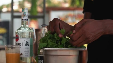 Bartender picking mint leaves to make a passion fruit mojito cocktail Stock Footage 230080335