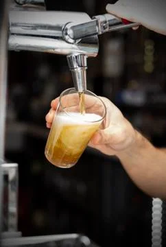 A bartender pouring draft beer into a glass Stock Photos