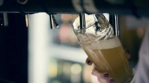 Bartender Pouring Draft Beer in the Pub Видео 85472013