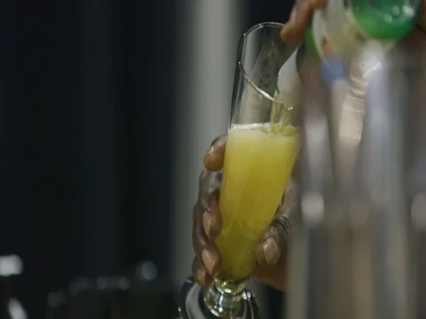 Bartender Pours a Beer Video stock 74345487
