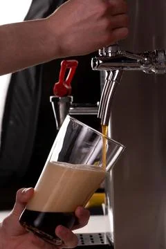 The bartender pours dark beer. Stock Photos
