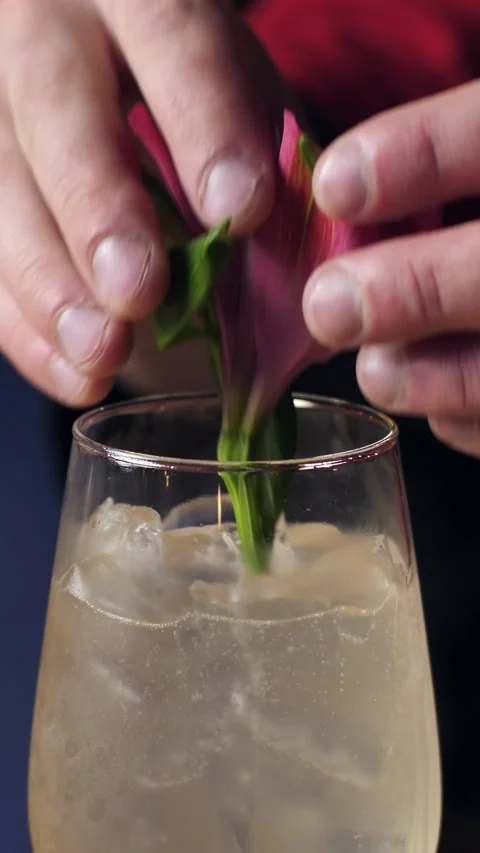 Bartender prepares an alcoholic cocktail with ice cubes Stock Footage 305284120