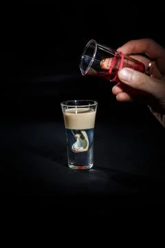 Bartender prepares a cocktail Stock Photos