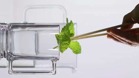 The Bartender prepares a Hot Drink. Brewing tea. Organic Food concept. Stock Footage 144467077