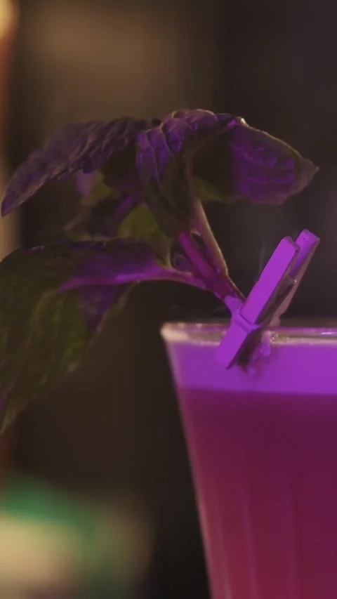 Bartender preparing cocktail - making burn of piece of mint in glass Stock Footage 331283987