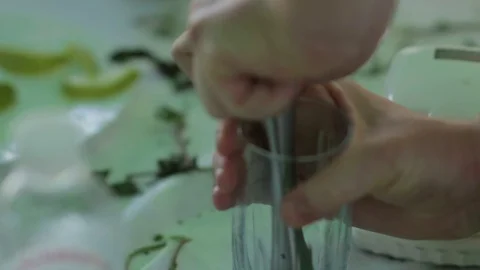 Bartender Pressed Mint For Cocktail Stock Footage 72348236