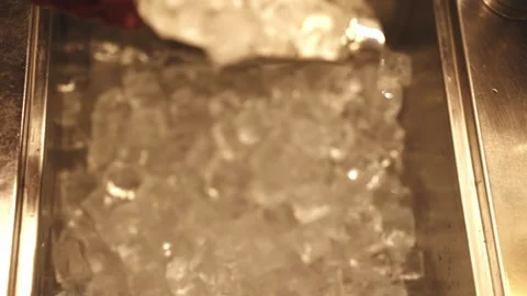 Bartender Scooping Ice Cubes from Ice Bin in Bar Stock Footage 331227762