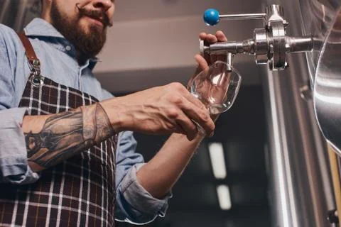 Bartender serving beer from the tap. Stock Photos