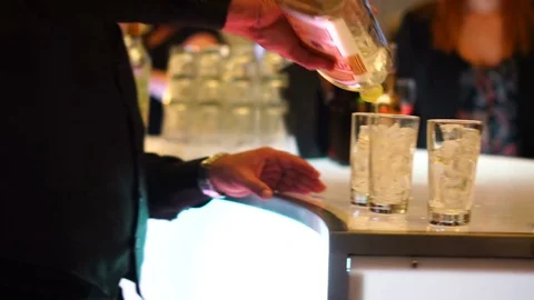 Bartender Serving Drinks Stock Footage 83527645