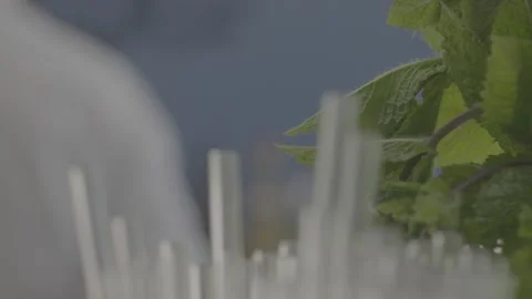 Bartender to straws Stock Footage 163443166