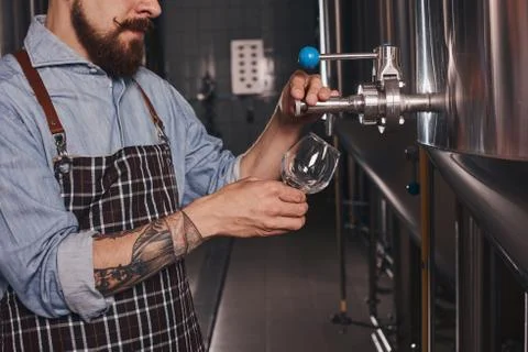 Bartender working at the bar pouring beer. Stock Photos