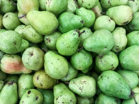 Bartlett Pears (Peras Pears) Stock Photos