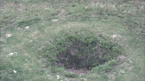 Bartlow Hills Tumuli Stock Footage 65259897