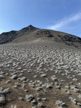 Bartolome Island Stock Photos