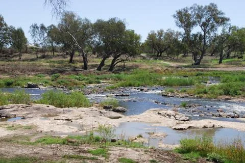 Barwon river in australia Stock Photos