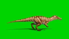 Angry T-Rex Runcycle Green Screen Close , Stock Video