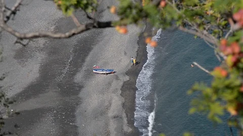 BAS 6820 Video stock 97821687