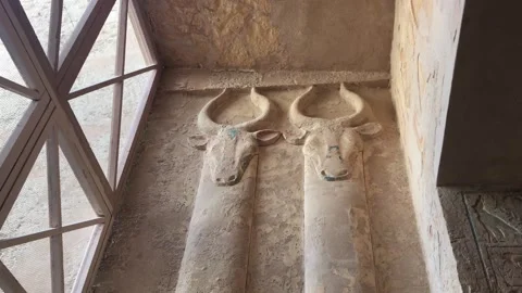Bas-relief carvings inside the Tomb of Pharaoh Ramses III Stock Footage 321341244