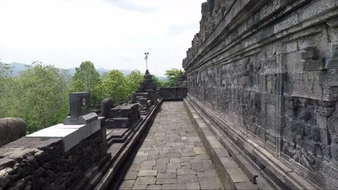 Bas Relief on the wall, Borobudur Temple Terrace, Java, Indonesia Stock Footage 308484592