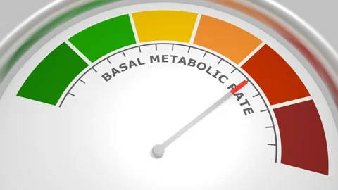 Basal metabolic rate abstract measuring device. Meter scale with arrow. Stock Footage 277675697