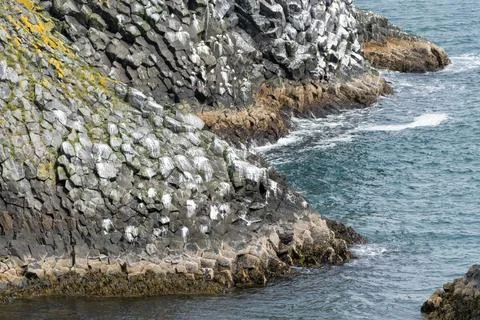 Basalt cliffs along the rugged shoreline of Arnarstapi Iceland Stock Photos