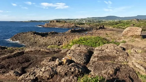 Basalt Columns and Rugged Coastline at Bombo Headland Geological Site, Kiam.. Stock Footage 312061555